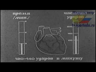 Человек. Анатомия. Физиология!