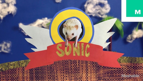 Sonic The Hedgehog