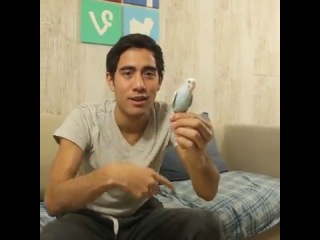 Zach King (Зак Кинг)