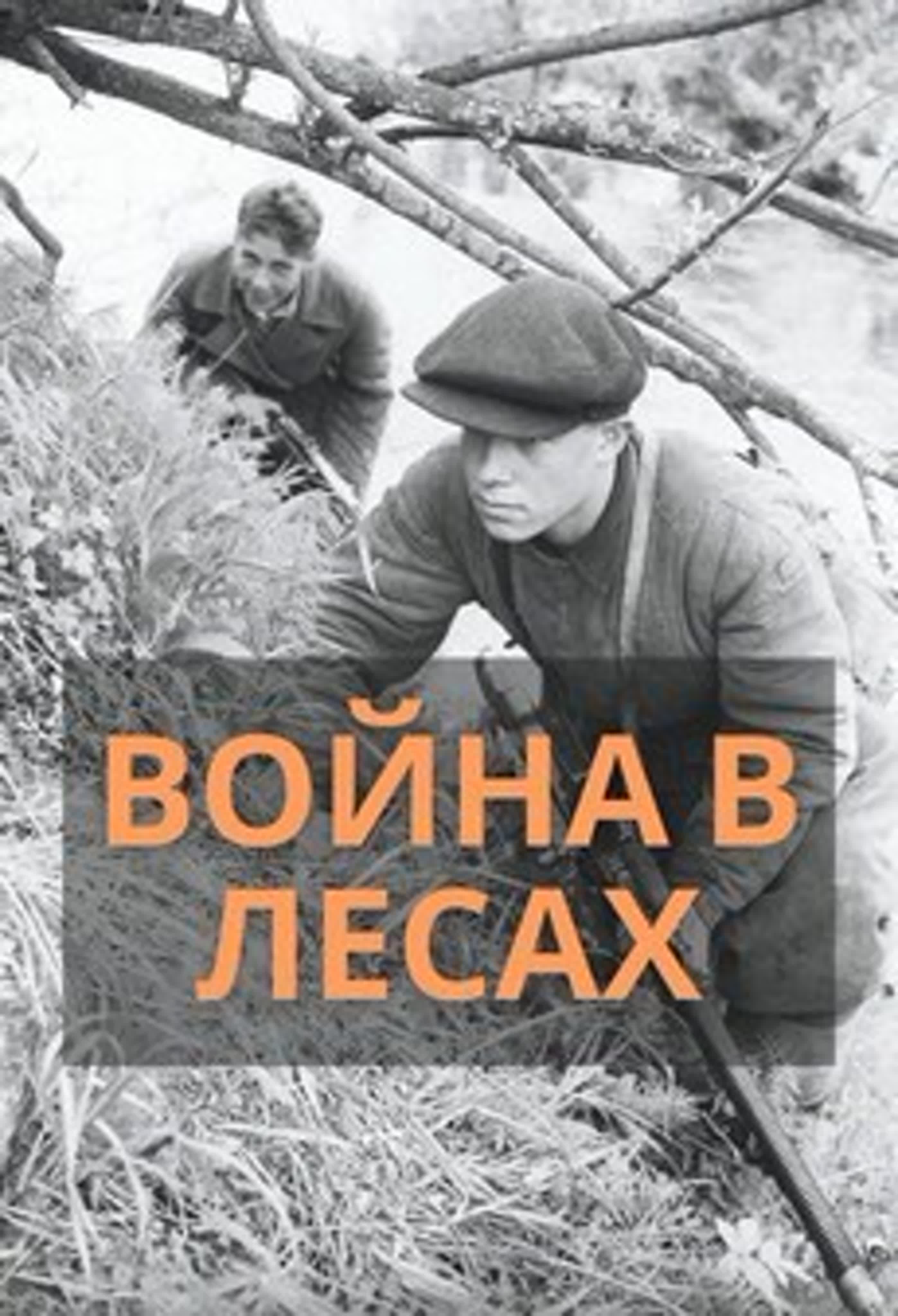 Война в лесах. (2009)