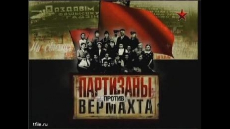 Партизаны против Вермахта (2010)