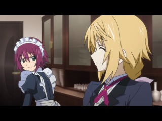 IS: Infinite Stratos / Необъятные небеса ТВ-2