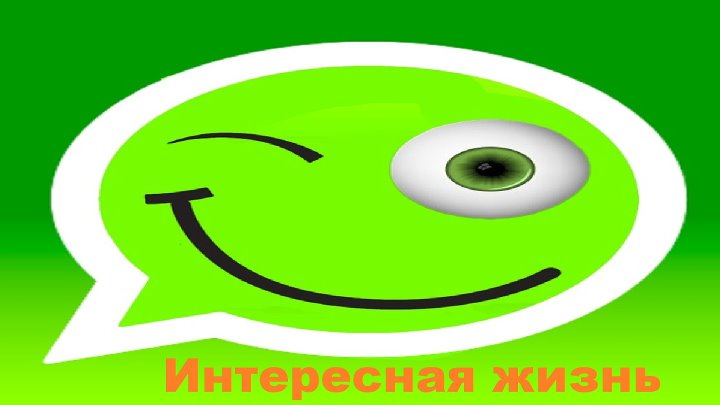 Интересная жизнь