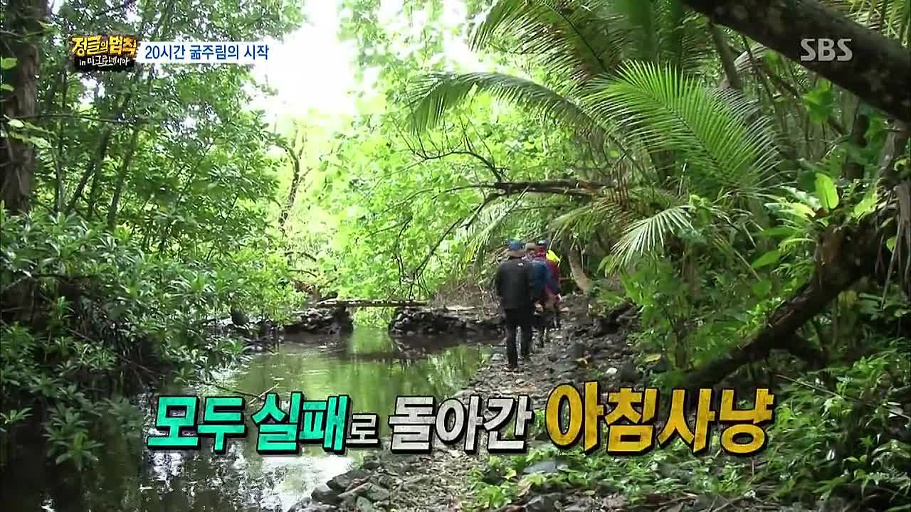 Законы джунглей в Микронезии / Law Of The Jungle In Micronesia