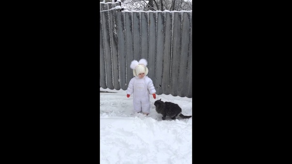 ***FunnyBabies&CutePets ***