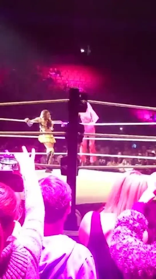 WWE LEEDS Summer Rae November 9th 2014 no copyright intended 18(1080P_HD).mp4