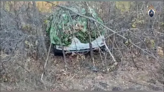 Похищенную в Саратовской области женщину нашли мёртвой в лесополосе неподалёку от машины, на которой её увезли