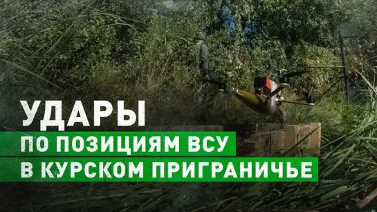 Расчёты FPV-дронов нанесли удары по позициям ВСУ в приграничье Курской области