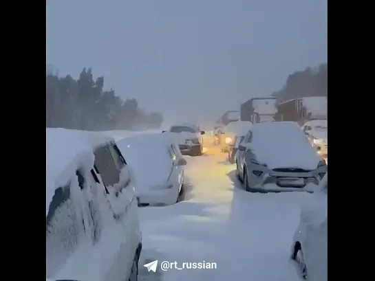 В сети расходятся видео из Южной Африки, которую накрыли аномальные снегопады