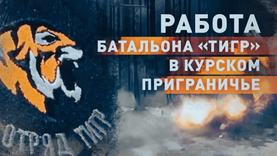 «Вся бронетехника противника жжётся»: бойцы батальона «Тигр» вытесняют ВСУ из Курской области