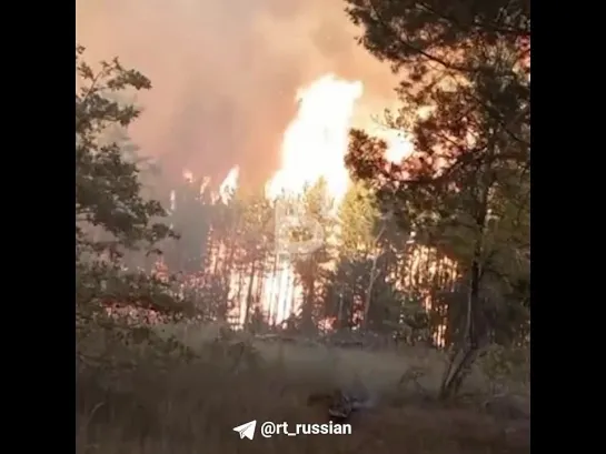 Десятки пожаров охватили Воронежскую область