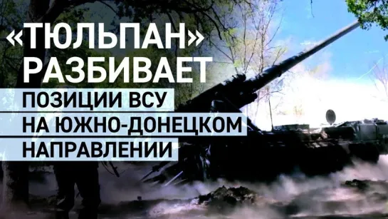 Самый большой в мире: миномёт «Тюльпан» разносит позиции ВСУ на Южно-Донецком направлении