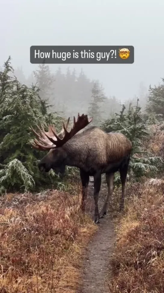 Невероятная природа vk.com/incrediblenature (автор видео @karphotography)