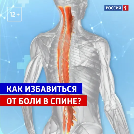 Как избавиться от боли в спине — «Доктор Мясников» — Россия 1