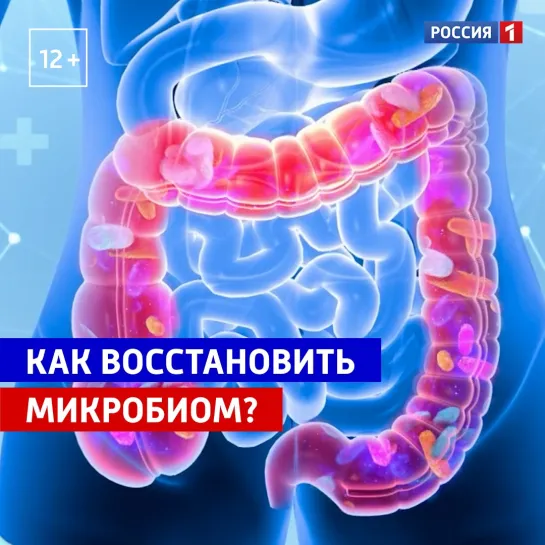 Как восстановить микробиом — «Доктор Мясников» – Россия 1