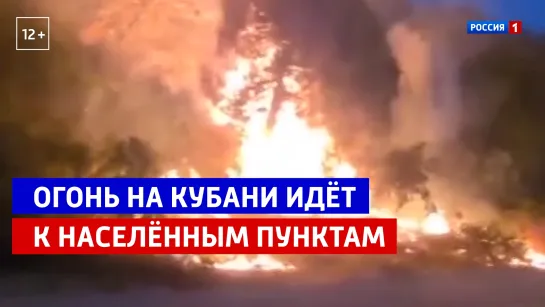 Огонь на Кубани в районе Абрау-Дюрсо движется в сторону населённых пунктов — Россия 1