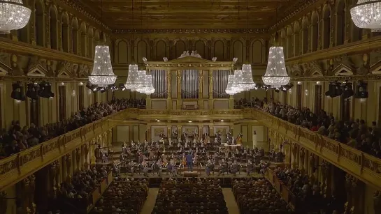 Strauss & Bruckner / Музыка Штрауса и Брукнера (Vienna) 2022