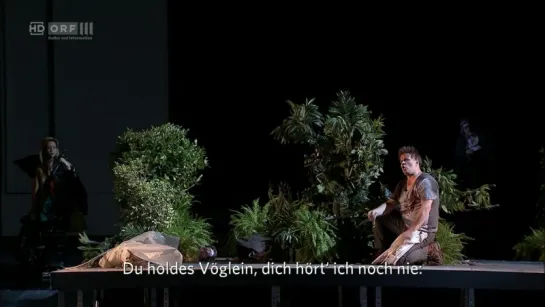 Theater an der Wien - Die Ring-Trilogie - Richard Wagner: Siegfried (Вена, 2017) - Акт II