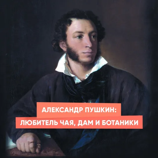 Александр Пушкин: любитель чая, дам и ботаники