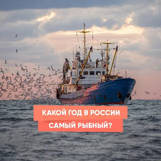 Какой год в России самый рыбный?