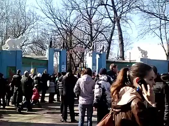 Мы стали в очередь в зоопарк Харьков 8 марта