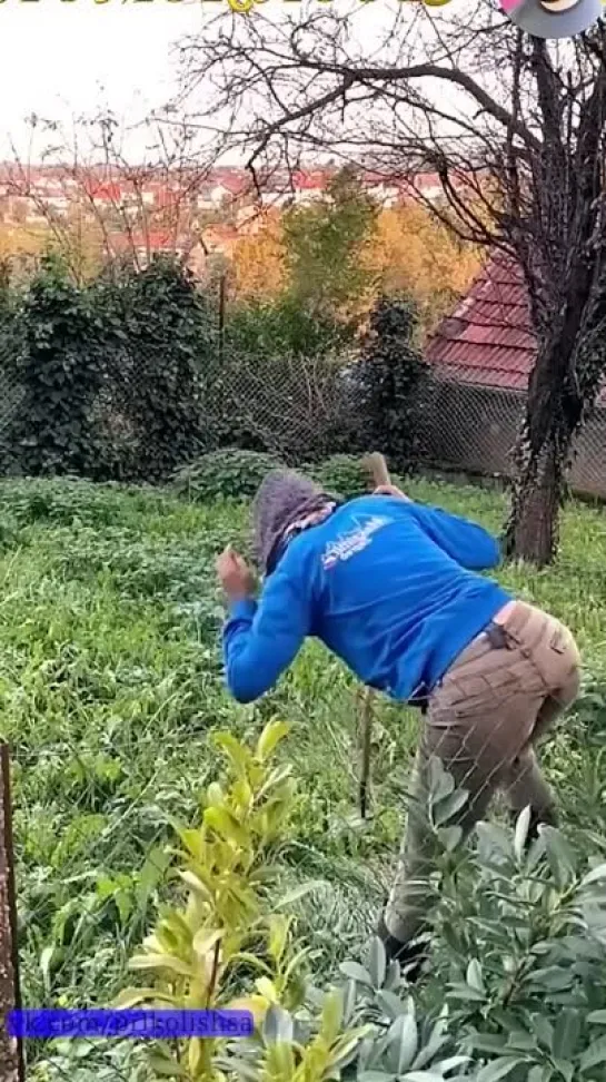 Видео от Заводной Апельсин