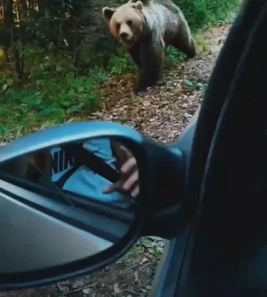 Да просто будни обычного русского человека!