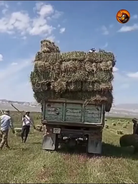 Видео от Заводной Апельсин