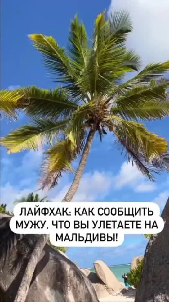 на мальлдивы