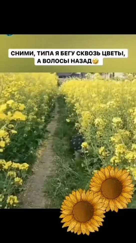 Цветы и ты