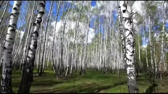 Video by Viktor Gulyaev