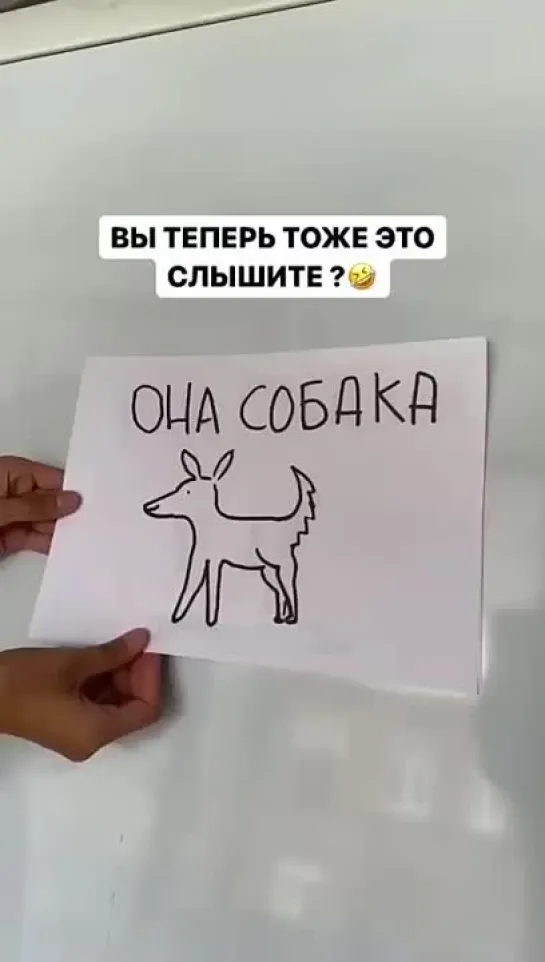 Вы теперь тоже это слышите?