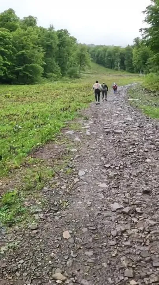 Группа Башкирова на "Лауре" (май 2022)