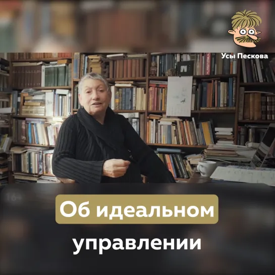 Об идеальном управлении