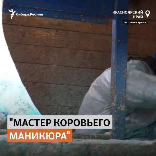 Жизнь мастера "коровьего маникюра" в глухой красноярской деревне | Сибирь.Реалии