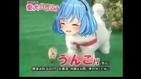 愛犬ロボ「ちつ」