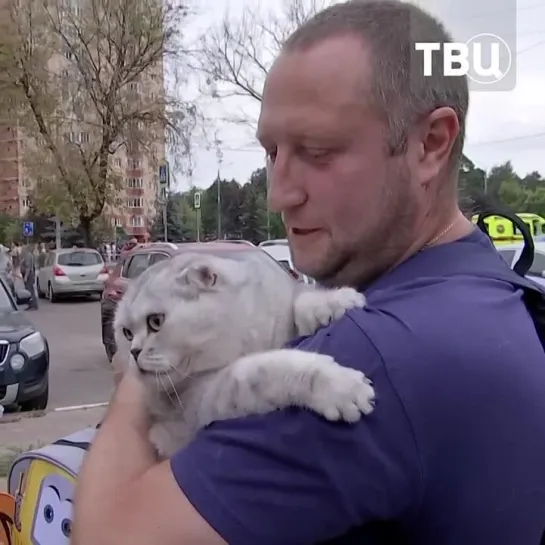 Житель дома в Раменском спас своего кота после атаки БПЛА