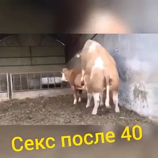 Как выглядит секс после 40