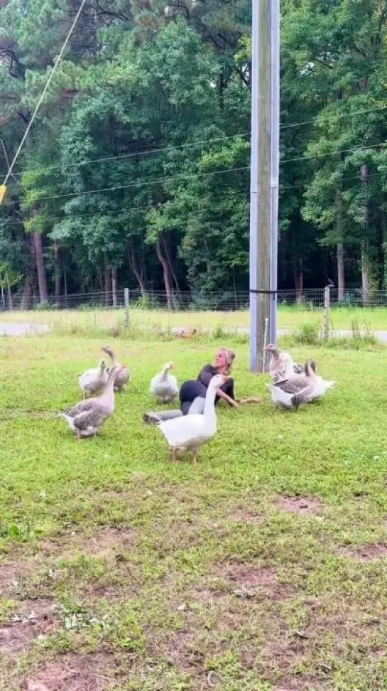 Видео от Типичный выживальщик