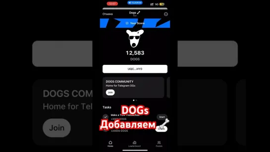 [Crypto Brother CH] DOGs | Как добавить кость?| Добавляем кость в имя Телеграмма | DOGs Meme Coin | Телеграмм Собаки |