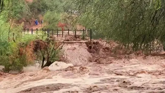 'It's time to run': flash flooding in Grand Canyon National Park kills 1, over 100 rescued