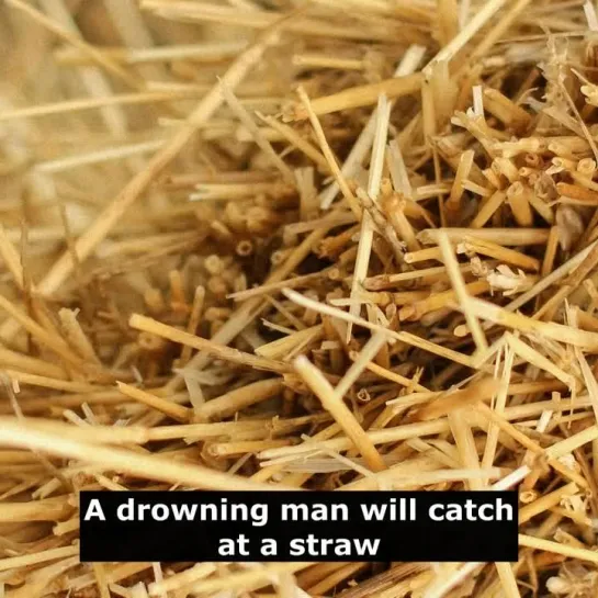 Английские пословицы: A drowning man will catch at a straw