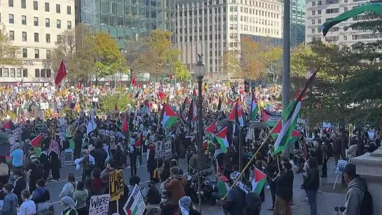 Varios miles de personas salieron a las calles de Washington exigiendo un alto el fuego en la Franja de Gaza