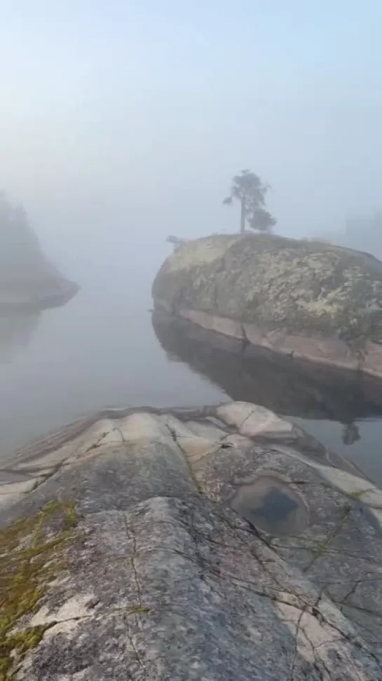 Niebla en el lago Ládoga