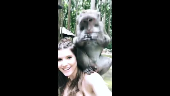 Monkey! | Amanda Cerny