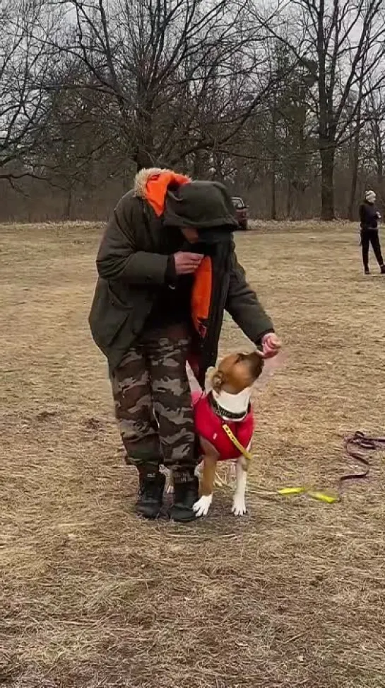 Как припарковать cсобаку？