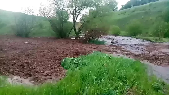 Селевой поток снятый близ села Вязово, Ефремовский район в Тульской области, Россия. 3 июня 2022 года.