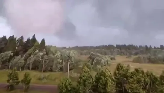 Смерч близ города Андреаполь, Тверская область, Россия 🌪🇷🇺. 

02.08.2021.