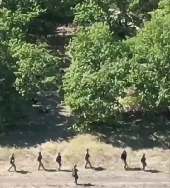 Images of mass surrender of Ukrainian fighters in Kursk Region