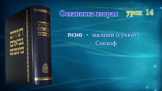 14. «СЕМЬ ИЗ 42 СТОЯНОК»|«Танахический иврит» — А.Давидов. ЕМО МАИМ ЗОРМИМ Израиль